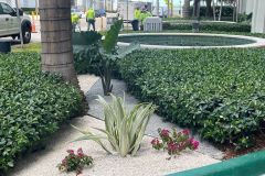 The-Emerald-at-Brickell-1