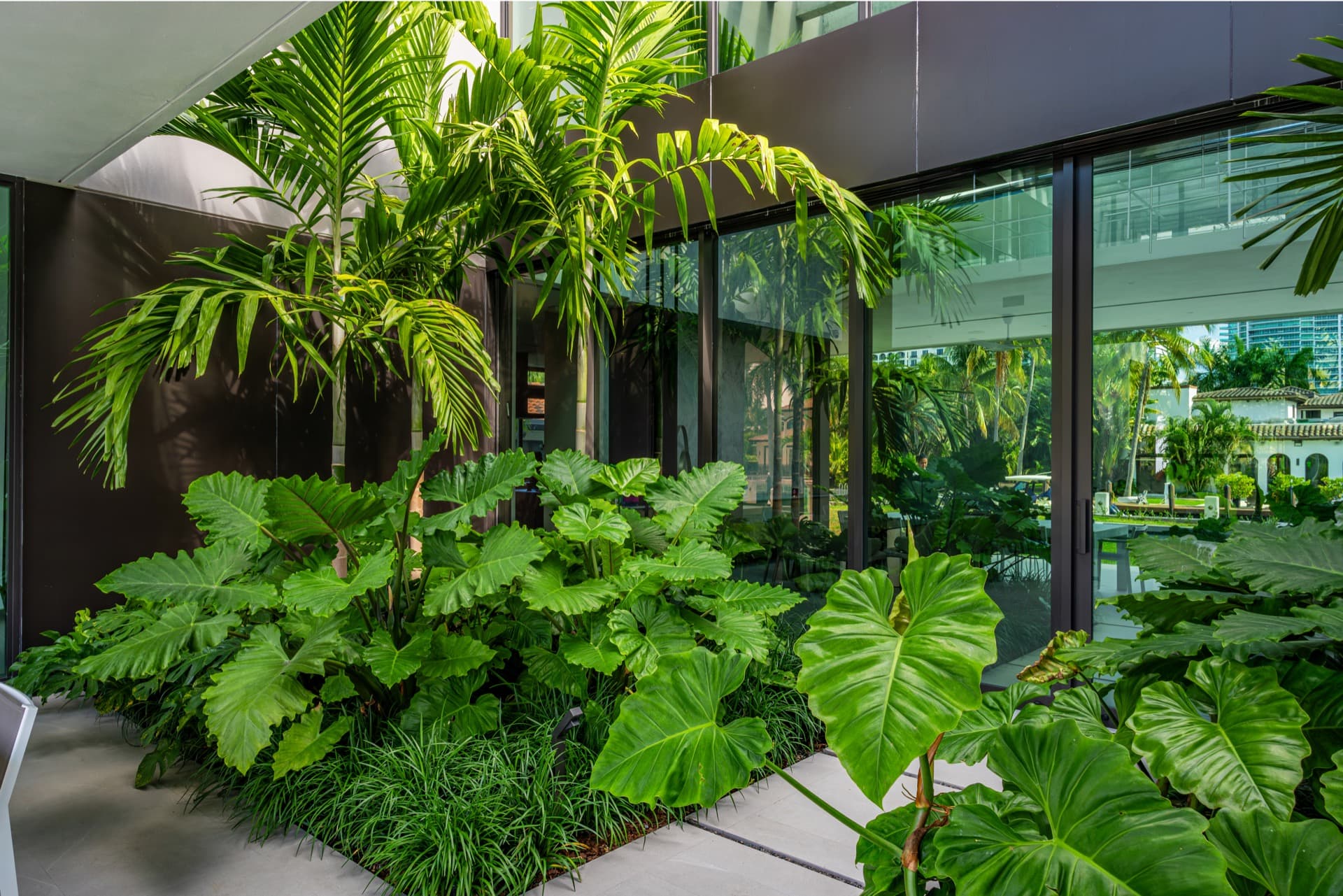 Project Xerofitus landscape — Golden Beach waterfront property